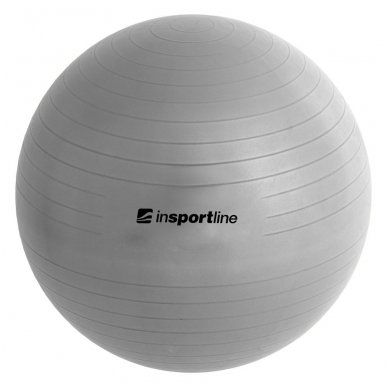Gimnastikos kamuolys + pompa inSPORTline TOP BALL 45cm (pilkas)