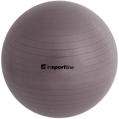 Gimnastikos kamuolys + pompa inSPORTline Top Ball 55 cm 2