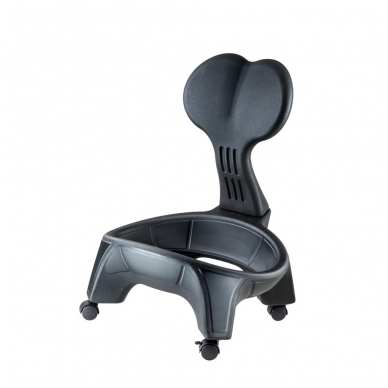 Kėdė su kamuoliu pusiausvyros lavinimui inSPORTline EGG-Chair 1