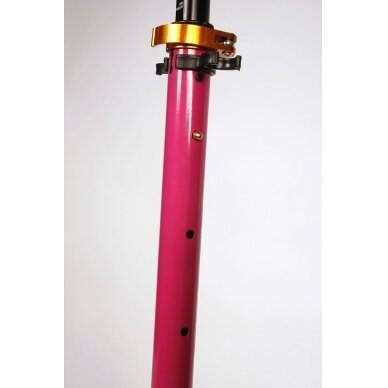 Paspirtukas Enero Blaster, 200mm, rožinis 7